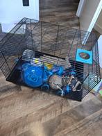 Knaagdierenkooi met toebehoren, Dieren en Toebehoren, Ophalen, Kooi, Hamster, Minder dan 60 cm