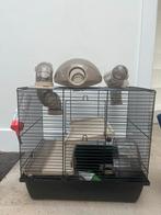 Hansterkooi nieuw met toebehoren, Dieren en Toebehoren, Knaagdieren en Konijnen | Hokken en Kooien, Kooi, Ophalen, Minder dan 60 cm