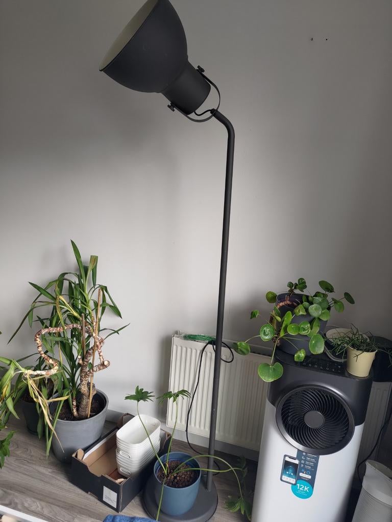 Ikea HEKTAR Staande lamp, donkergrijs, Huis en Inrichting, Lampen | Vloerlampen, Ophalen, Gebruikt, Metaal, 150 tot 200 cm