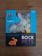 Crocodile Creek Rock Pets Konijn Verfset - Nieuw - Pasen, Ophalen of Verzenden, Nieuw, Knutselwerk