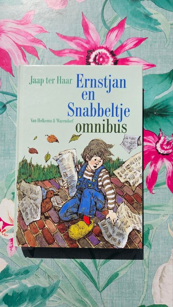 Ernstjan en Snabbeltje omnibus - Jaap ter Haar, Boeken, Ophalen of Verzenden, Gelezen, Fictie algemeen