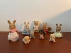 Sylvanian family poppetjes, Ophalen of Verzenden, Gebruikt, Poppenhuis