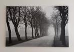 Grote zwart-wit canvaslijst Landweg met bomen in de mist, Ophalen, Zo goed als nieuw, Schilderij, 100 tot 125 cm