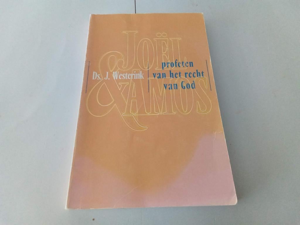Joël en Amos ( Ds J Westerink, Ophalen of Verzenden, Zo goed als nieuw, Christendom | Protestants