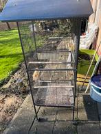 Te koop, Dieren en Toebehoren, Vogels | Hokken en Kooien, Ophalen of Verzenden, Metaal, Vogelkooi