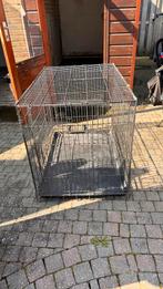 Grote hondenbench, Dieren en Toebehoren, Ophalen