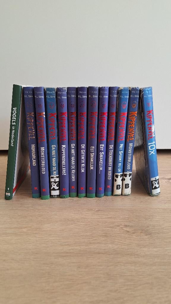 Spannende leesboeken, Gelezen, Non-fictie, Ophalen of Verzenden, R.L. Stine