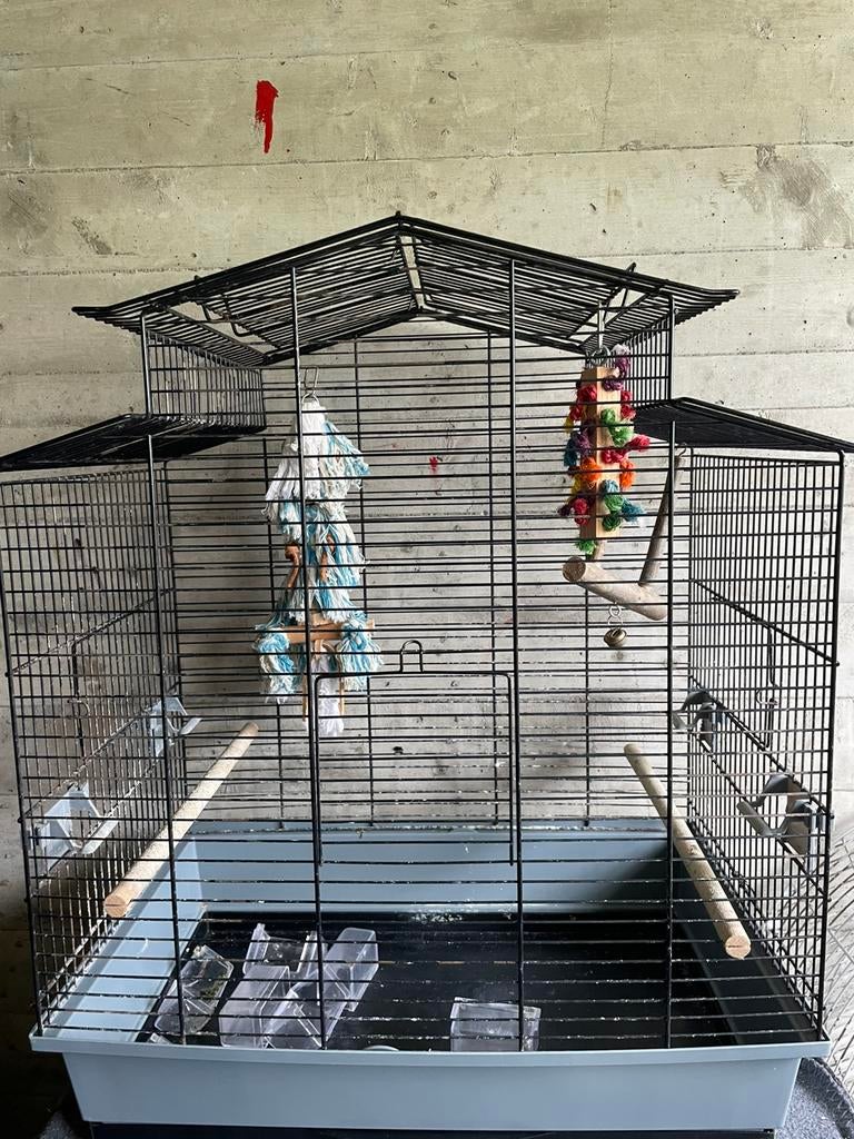 Vogel kooi, Dieren en Toebehoren, Vogels | Hokken en Kooien, Ophalen, Zo goed als nieuw, Metaal, Vogelkooi