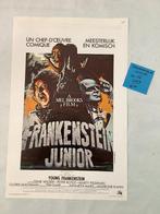 YOUNG FRANKENSTEIN   filmposte   36-54 cm   Used, Ophalen of Verzenden, Gebruikt, Deurposter of groter, Film en Tv
