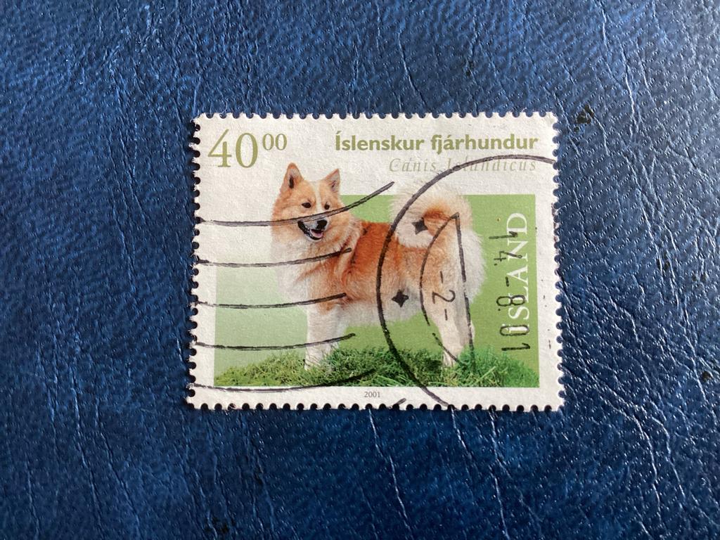 IJslandse Herdershond -2001-Gestempeld -Mi.977, Ophalen of Verzenden, IJsland, Gestempeld
