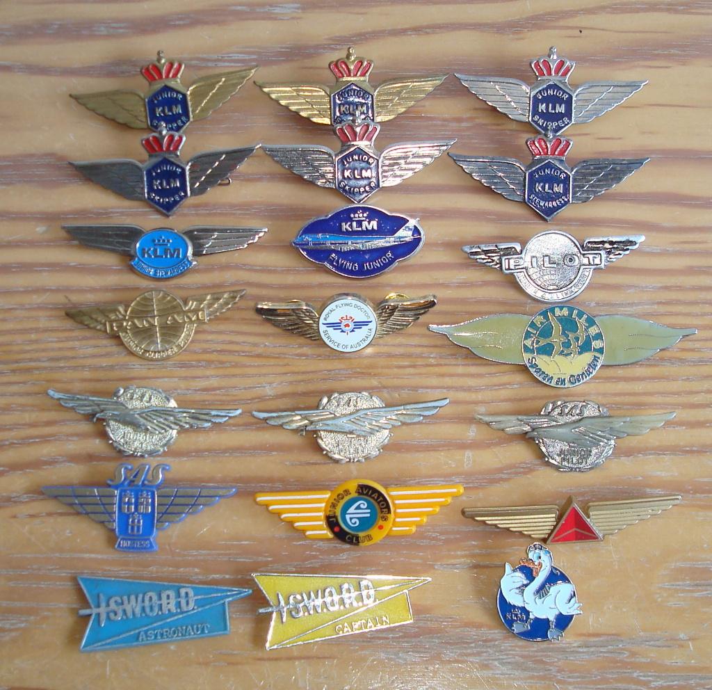 KLM VLIEGTUIGMAATSCHAPPIJ VLEUGELS DIVERSEN, Ophalen of Verzenden, Overige onderwerpen, Speldje of Pin