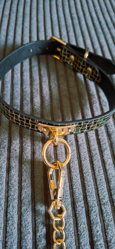 Nieuwe choker met ketting, Kleding | Dames, Verzenden, Nieuw, Overige thema's, Accessoires
