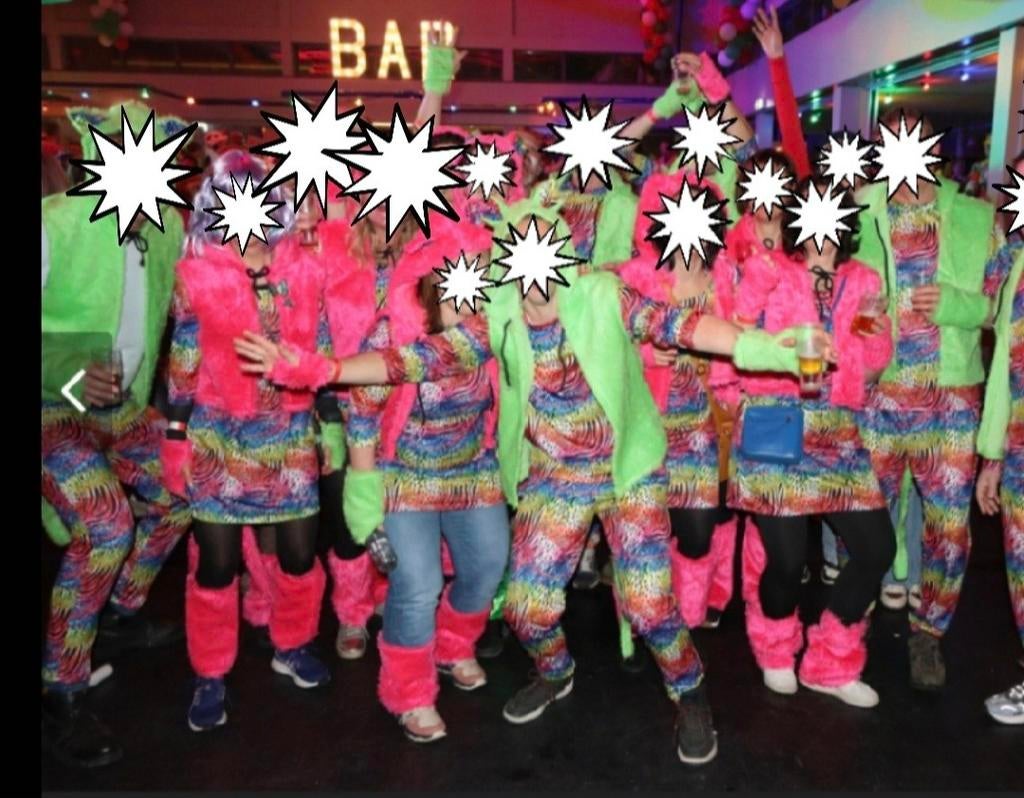 Carnavalskleding voor een groep van 19 personen, Kleding | Dames, Carnavalskleding en Feestkleding, Ophalen of Verzenden, Zo goed als nieuw