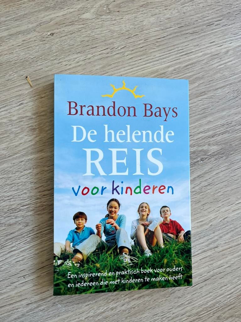 Brandon Bays - De helende reis voor kinderen, Brandon Bays, Ophalen of Verzenden, Zo goed als nieuw, Instructieboek