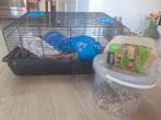 Complete hamsterkooi met zaagsel en voer (gratis afhalen), Kooi, Gebruikt, Minder dan 75 cm, Hamster