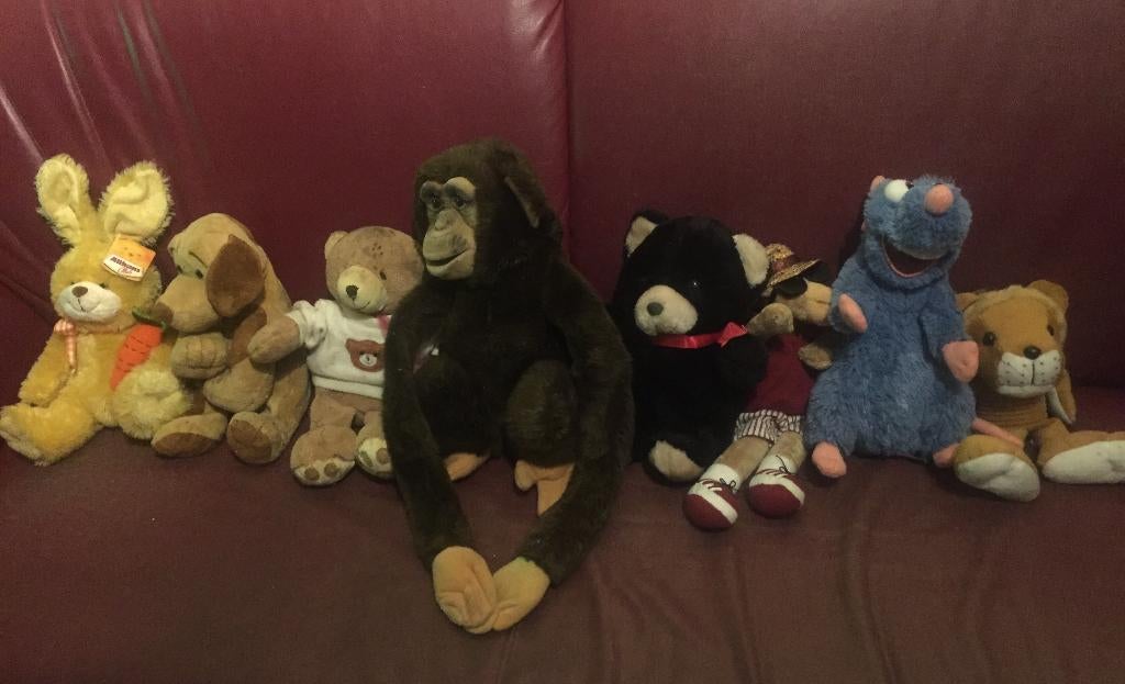 Knuffeldier beer, hond, konijn, Chimpansee aap, Ophalen of Verzenden, Zo goed als nieuw, Overige typen