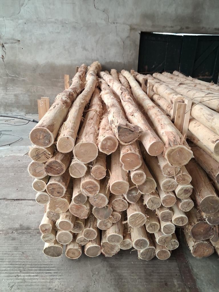 Robiniahouten palen, robinia paal 400cm lang 10-12cm dik, Ophalen, Nieuw, 250 cm of meer, Palen