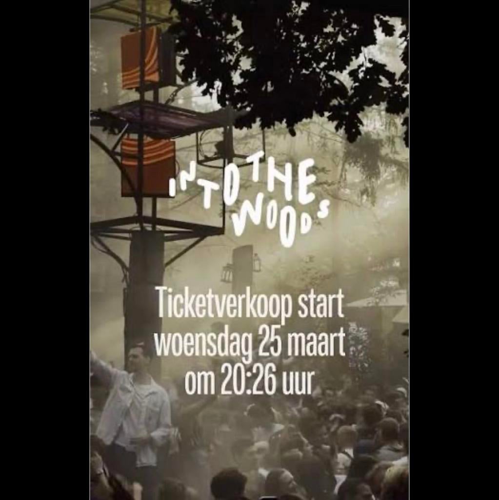 4 tickets zaterdag into the woods Amesfoort 2026, Tickets en Kaartjes, Evenementen en Festivals, Drie personen of meer