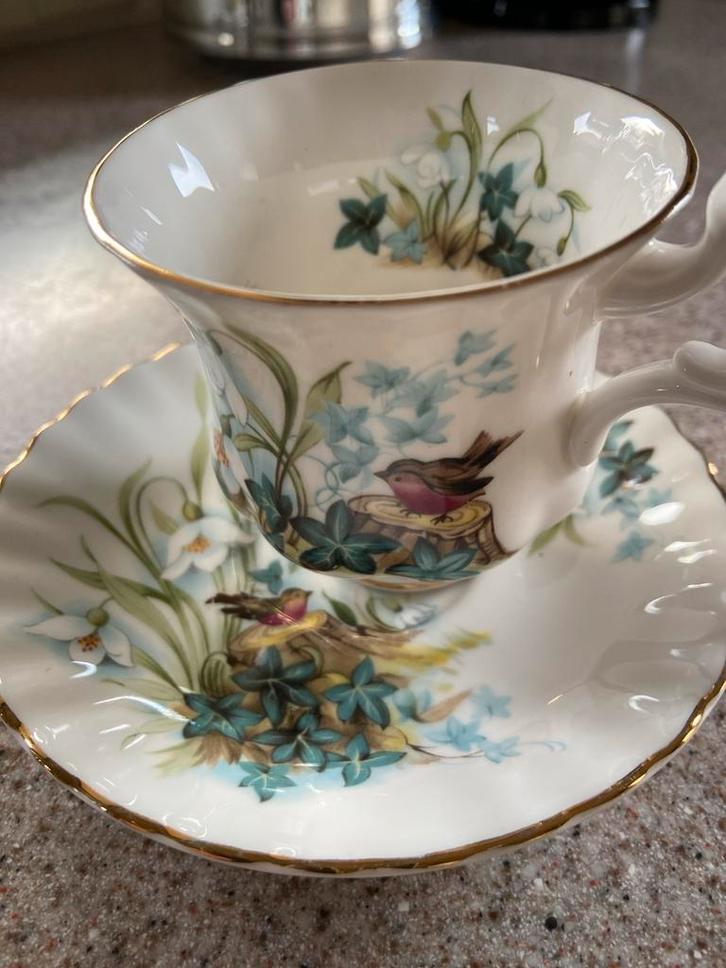 Royal Albert Ivy Glade Kop en Schotel - Country Life Series, Antiek en Kunst, Antiek | Porselein, Ophalen of Verzenden