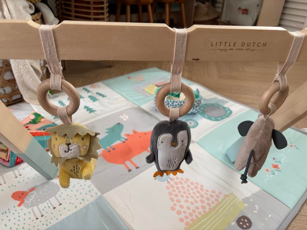 Babygym Little Dutch, Ophalen, Gebruikt, Babygym