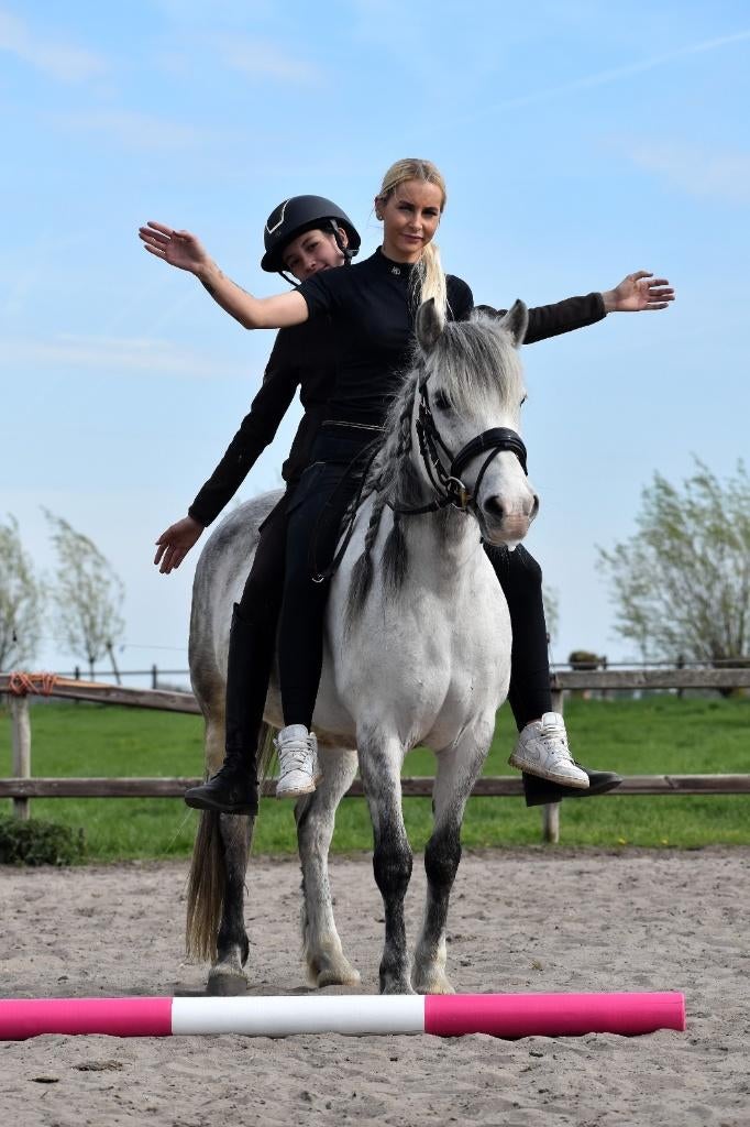 ## SUPER MAKKE, hele brave & rustige kinder/familie Cpony ##, Merrie, Dressuurpony, Met stamboom, 3 tot 6 jaar