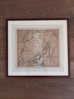 Oude gravure van de Haarlemmermeer, (Isaac Tirion) 1744, Antiek en Kunst, Ophalen