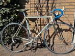 Batavus professional campagnolo, 51 tot 55 cm, Ophalen of Verzenden