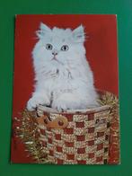F/ Kat in mand. VN 320, Verzenden, Ongelopen, Hond of Kat