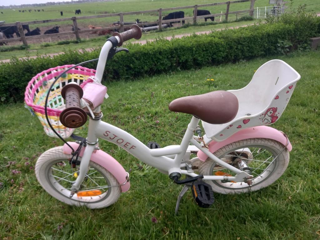 Meisjes fiets, Ophalen, Gebruikt, 14 inch of minder