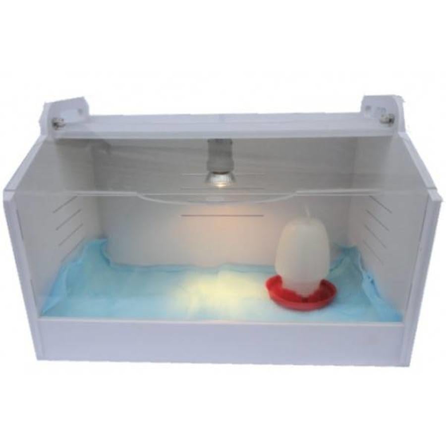 Mini Brooder te huur – compleet & gebruiksklaar!, Dieren en Toebehoren, Ophalen of Verzenden, Zo goed als nieuw, Overige typen