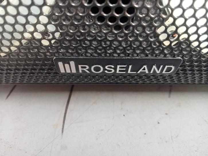 Roseland Bluetooth speaker - Goede staat, Audio, Tv en Foto, Luidsprekers, Gebruikt, Overige typen, Minder dan 60 watt, Overige merken