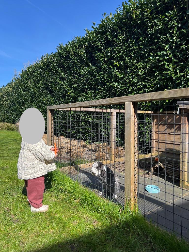 konijnenren, Dieren en Toebehoren, Ophalen, 60 tot 90 cm, Konijn, Ren