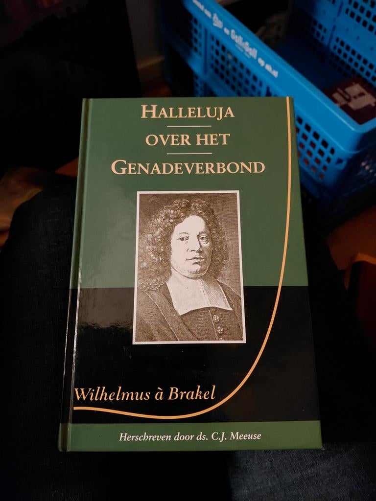 Halleluja over het Genadeverbond - Wilhelmus à Brakel, Ophalen of Verzenden, Gelezen, Wilhelmus à Brakel, Christendom | Protestants