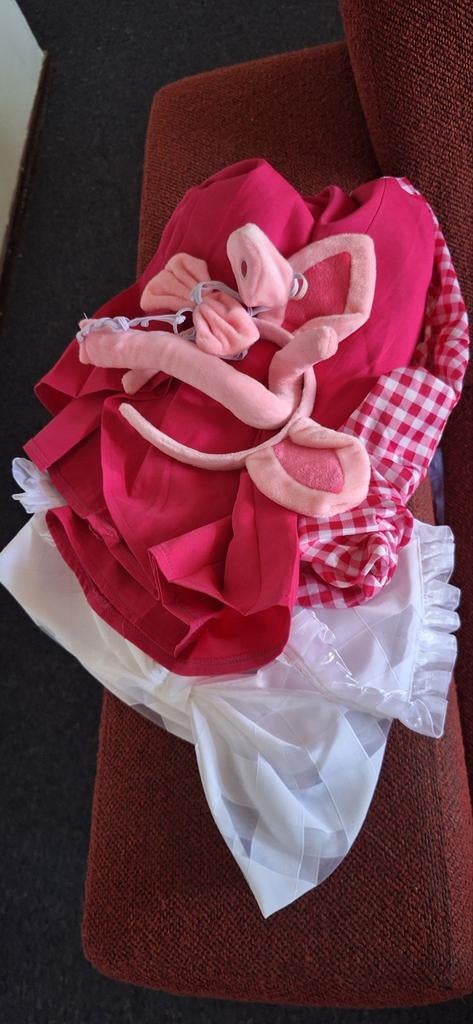 K3 outfit De 3 Biggetjes - Maat 38, Maat 38/40 (M), Carnaval, Ophalen of Verzenden, K3