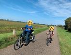 driewielfiets, Fietsen en Brommers, Fietsen | Driewielfietsen, Ophalen, Gebruikt, Van Raam Easy Rider