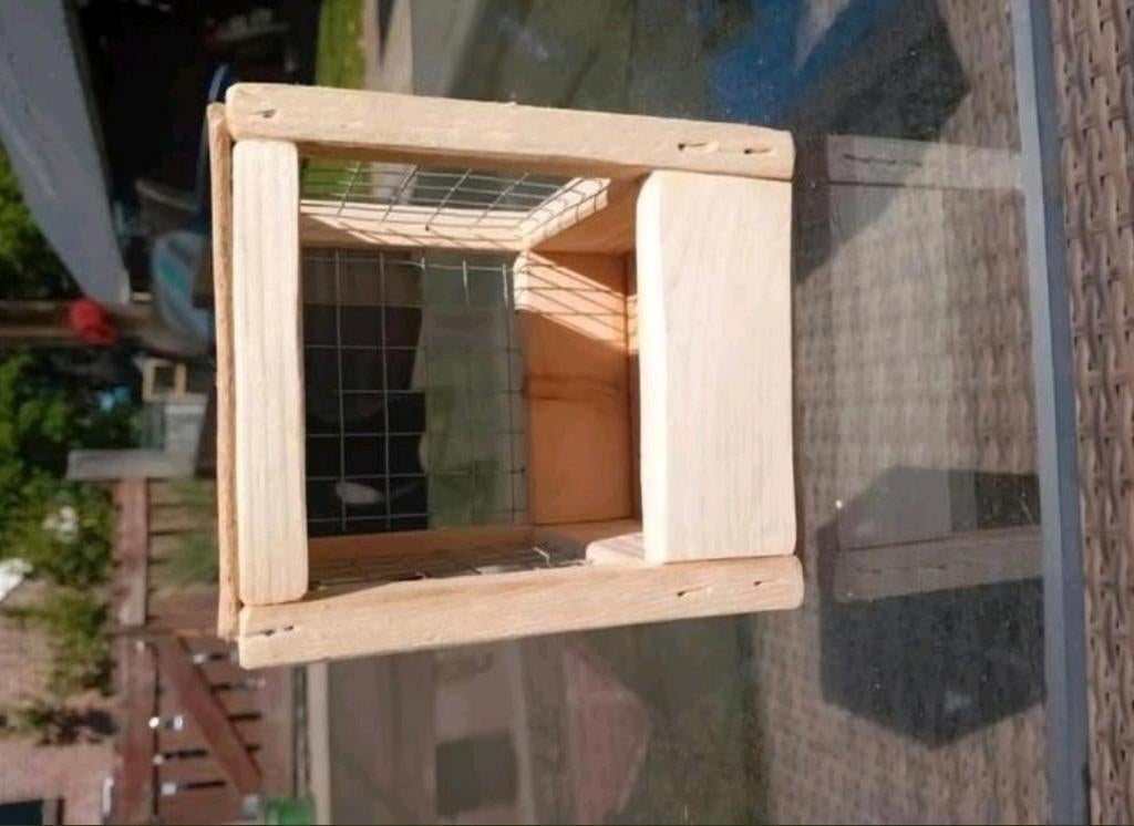 Vogelnestjes te koop, Ophalen of Verzenden, Nieuw, Broedkooi of Kweekkooi