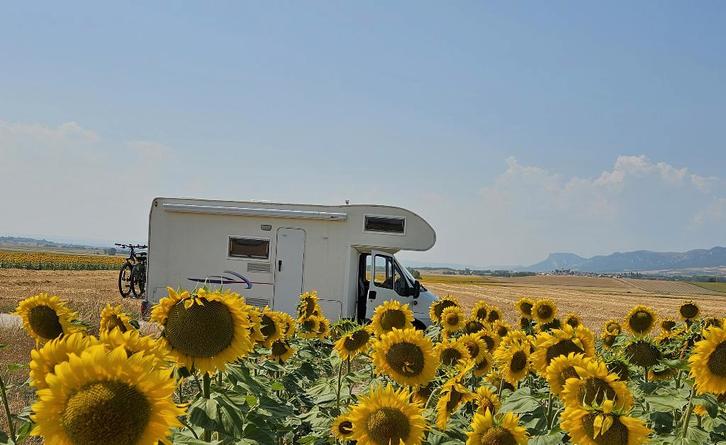 6-persoons compacte camper, Caravans en Kamperen, Campers, Particulier, tot en met 6, Alkoof, Challenger, Fiat, Diesel, Handgeschakeld