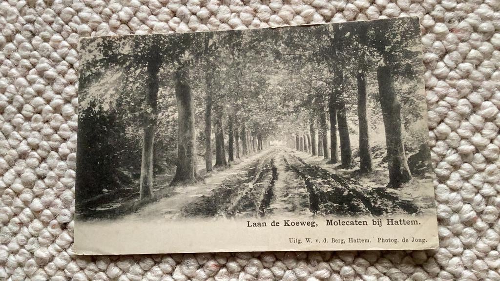 Ansichtkaart Molecaten bij Hattem Laan de Koeweg begin 1900, Ophalen of Verzenden, Voor 1920, Ongelopen, Gelderland