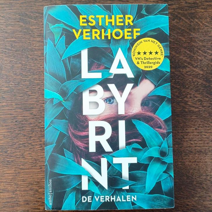 Labyrint - Esther Verhoef (De Verhalen), Boeken, Thrillers, Gelezen, Nederland, Ophalen of Verzenden
