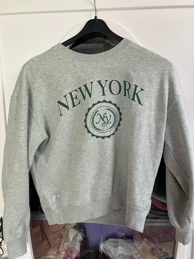 Grijze america Today trui maat 158-164, Kinderen en Baby's, Kinderkleding | Maat 158, Ophalen of Verzenden, Gebruikt, Jongen of Meisje