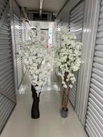 Mooi bloesem boompjes/planten, Ophalen of Verzenden, Zo goed als nieuw