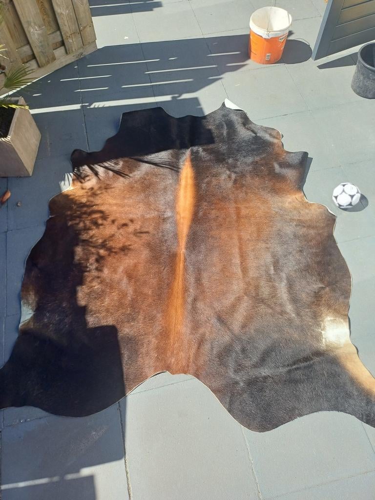 Grote koeienhuid echt leer, Ophalen, Gebruikt, 150 tot 200 cm, Natuurlijk, Rustiek