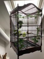 houten vogelkooi ( sier ) oud decoratie kooi, Ophalen, Gebruikt, Hout, Vogelkooi