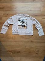 Longsleeve Zara, maat 11-12, Meisje, Ophalen of Verzenden, Zo goed als nieuw, Zara