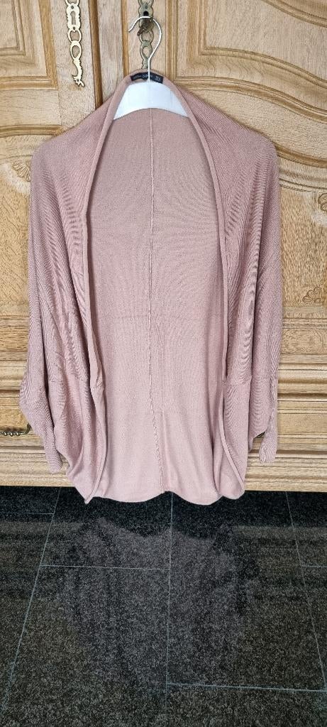 vest zara, Maat 38/40 (M), Zara, Ophalen of Verzenden, Zo goed als nieuw