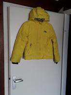 Vingino Winterjas met vaste Capuchon mt 12 / 152, Meisje, Ophalen of Verzenden, Zo goed als nieuw, Vingino