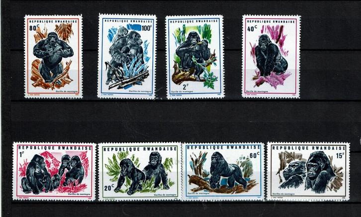 rwanda 1970 pf serie gorilla apen wildlife zoogdieren, Postzegels en Munten, Postzegels | Thematische zegels, Postfris, Dier of Natuur
