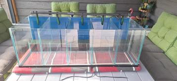 kweekaquarium 5 vaks, aquariumstelling beschikbaar voor biedingen