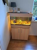 aquarium, Dieren en Toebehoren, Ophalen, Zo goed als nieuw, Gevuld zoetwateraquarium