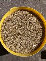 Graan, Gerst Maïs te koop. Hele korrels of gemalen, Dieren en Toebehoren, Dierenvoeding, Ophalen of Verzenden